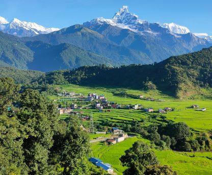 Himalayan views with greenary in pokhara